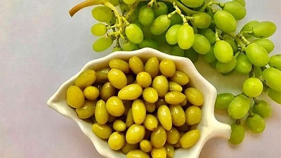 سلامت   مهارت‌ها فوت‌ و فن   آشپزی توصیه‌ها و آداب   مهارت‌ها شغل   تغذیه سالم   مجله دستور العمل آشپزی   مجله ترشی   مهارت‌ها فرد   مهارت‌های زندگی   مهارت‌ها خانواده