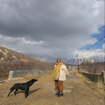 تصاویر  فعالیت های دکتر یکتا پناه پور