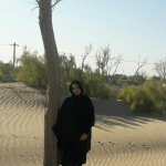 آرشیو
