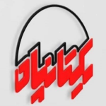 آرشیو